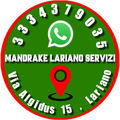 mANDRAKE mULTISERVIZI logo