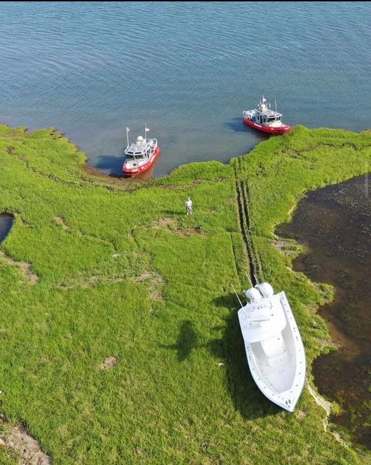 White boat on grassy shore by blue water, with two red tugboats nearby.