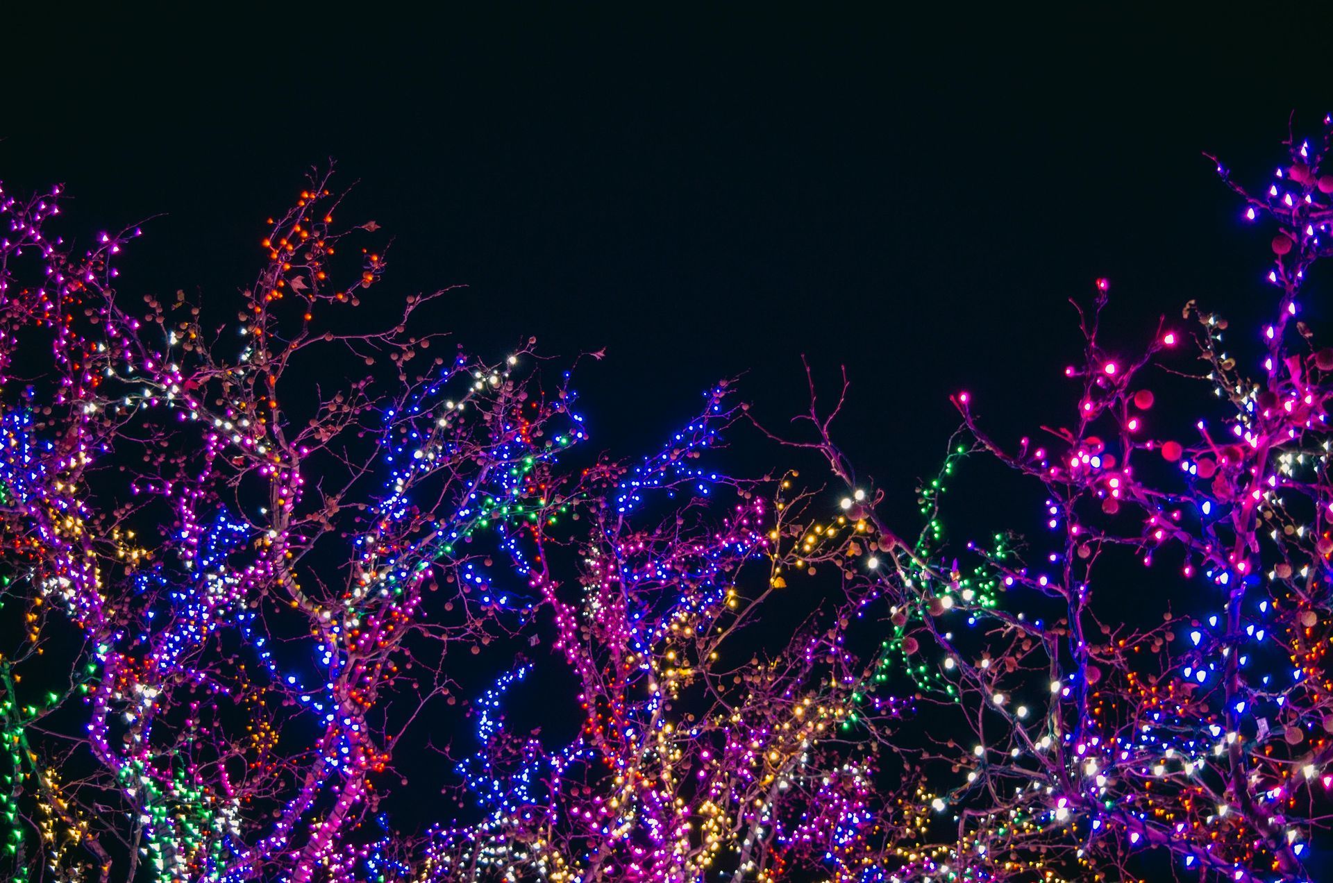 Christmas lights installation in Mont Belvieu, TX