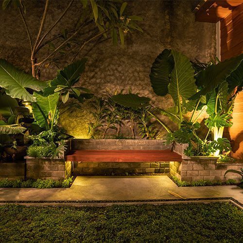 A nighttime garden scene with a wooden bench nestled between lush plants, illuminated by warm lighting.
