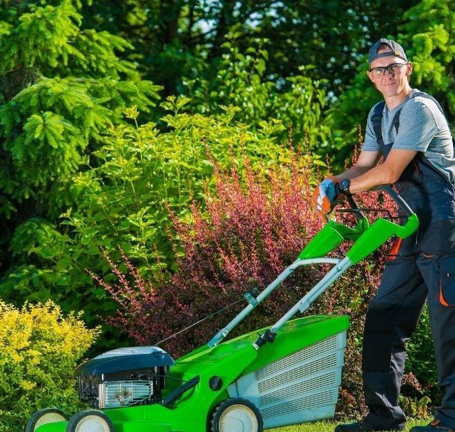 A man is standing next to a green lawn mower in a garden.