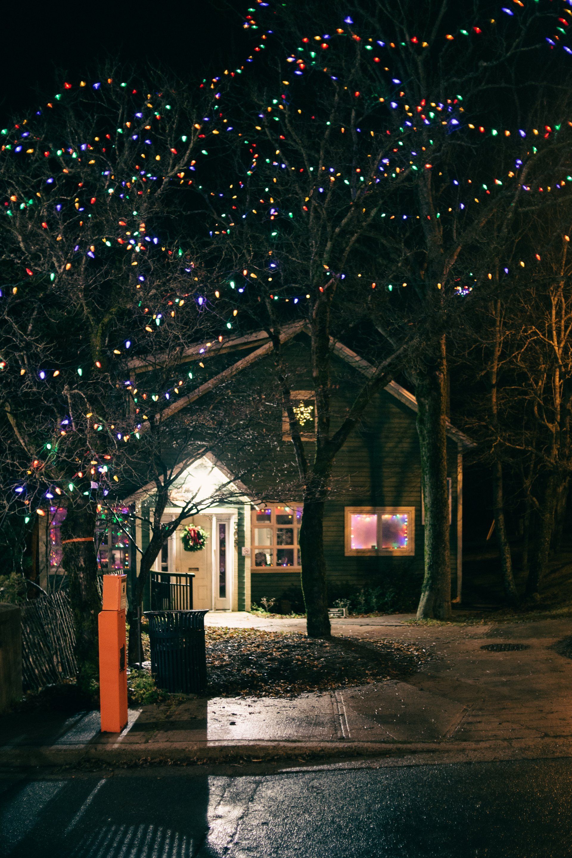 A house is decorated with christmas lights at night.