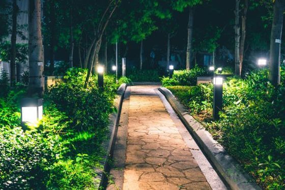 A stone path in the middle of a forest at night.