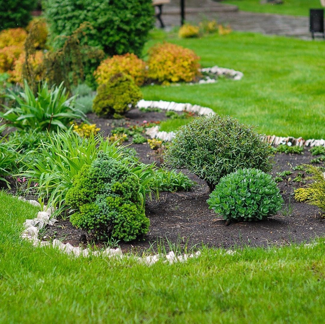 Lawn Care — JR Flores Landscape Services in Highlands, TX