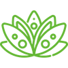 A green line drawing of a lotus flower on a white background.