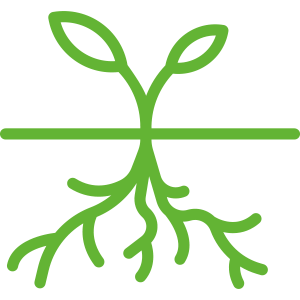 A green icon of a plant with roots and leaves on a white background.