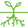 A green icon of a plant with roots and leaves on a white background.
