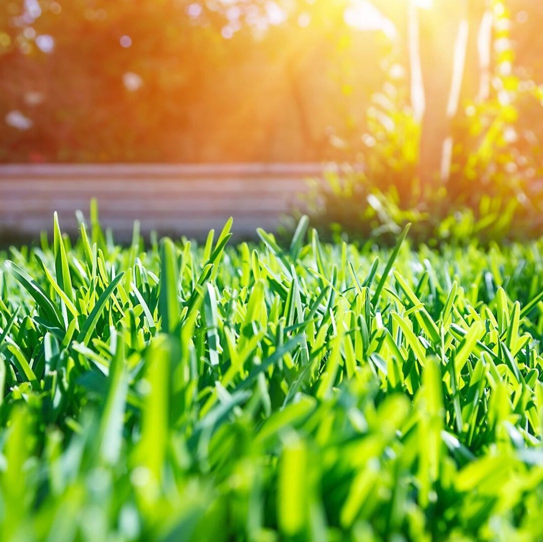 Trimming Services — JR Flores Landscape Services in Highlands, TX Trimming Services — JR Flores Landscape Services in Highlands, TX