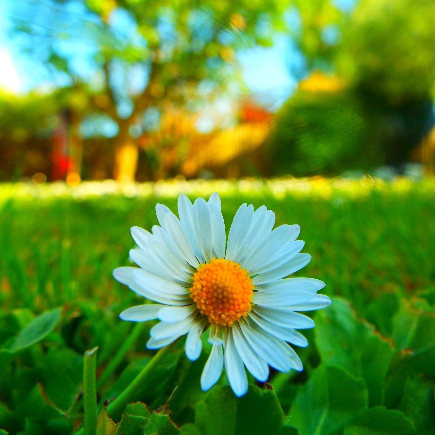 Lawn Care — JR Flores Landscape Services in Highlands, TX Lawn Care — JR Flores Landscape Services in Highlands, TX