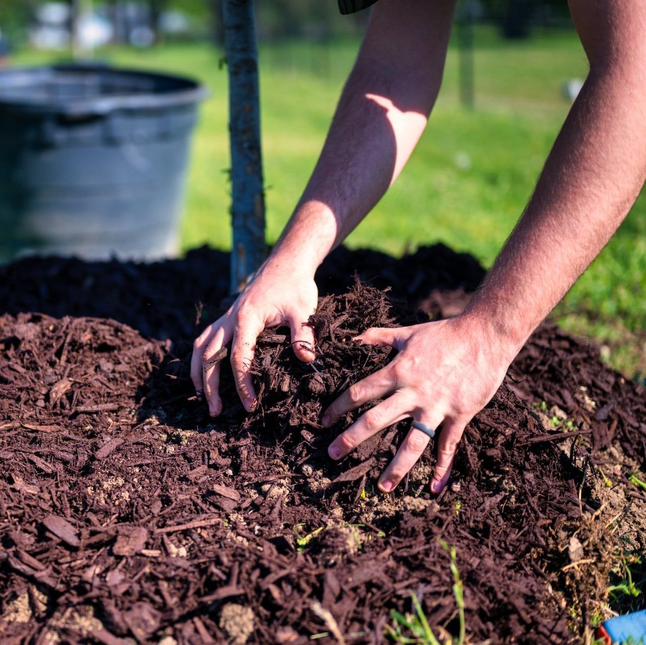 Seeding — JR Flores Landscape Services in Highlands, TX