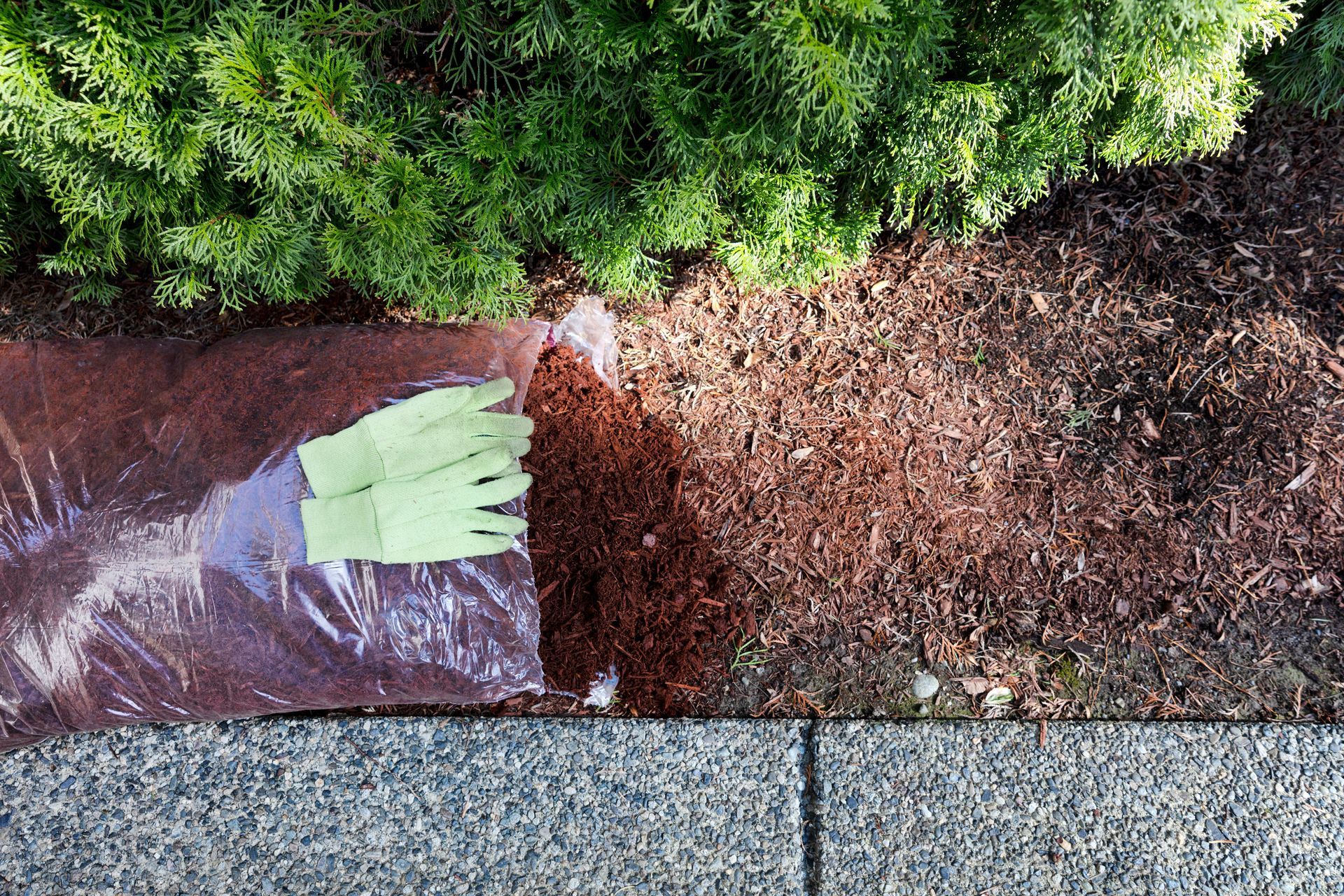 A bag of mulch is sitting on the sidewalk next to a bush.
