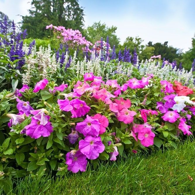 Plant Installation — JR Flores Landscape Services in Highlands, TX