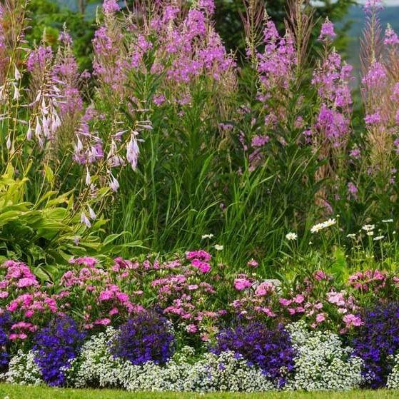 Plant Installation Services — JR Flores Landscape Services in Highlands, TX