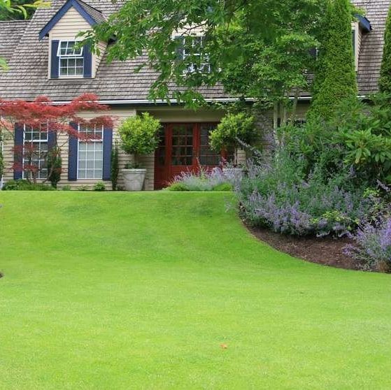 Seeding — JR Flores Landscape Services in Highlands, TX