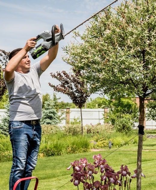 A man is cutting a tree with a hedge trimmer