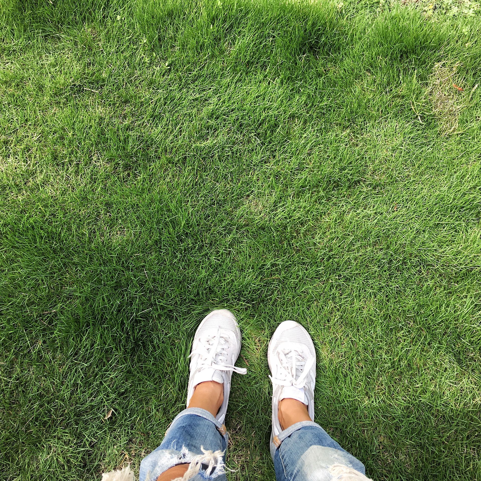 Person in white sneakers and ripped jeans standing on green grass.