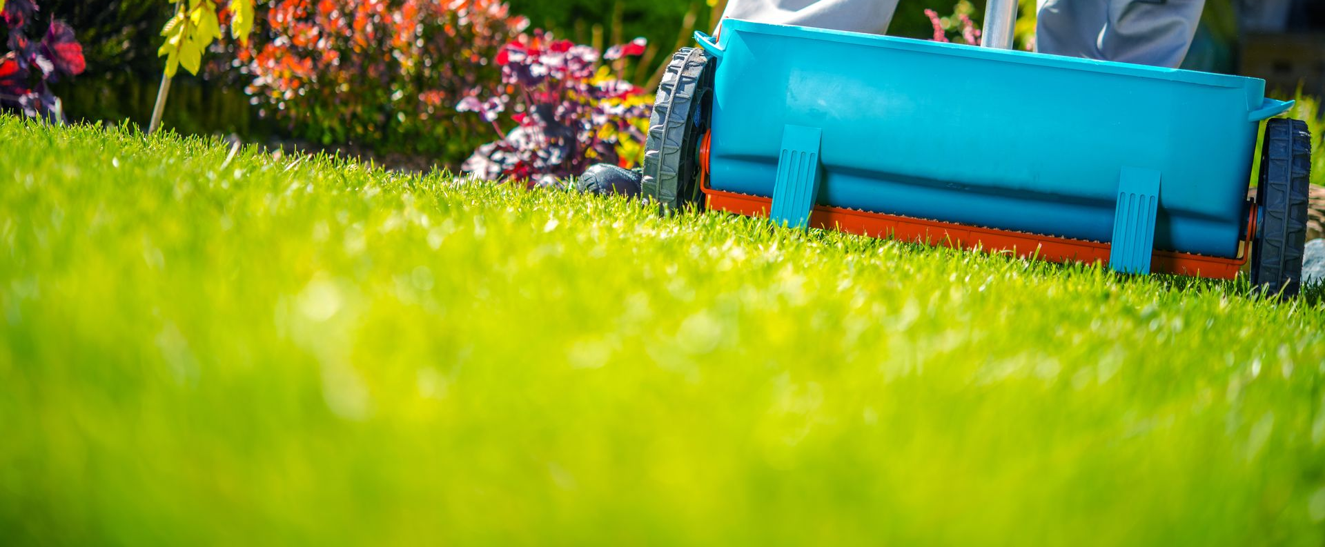 Lawn fertilization and landscape bed in Central Texas