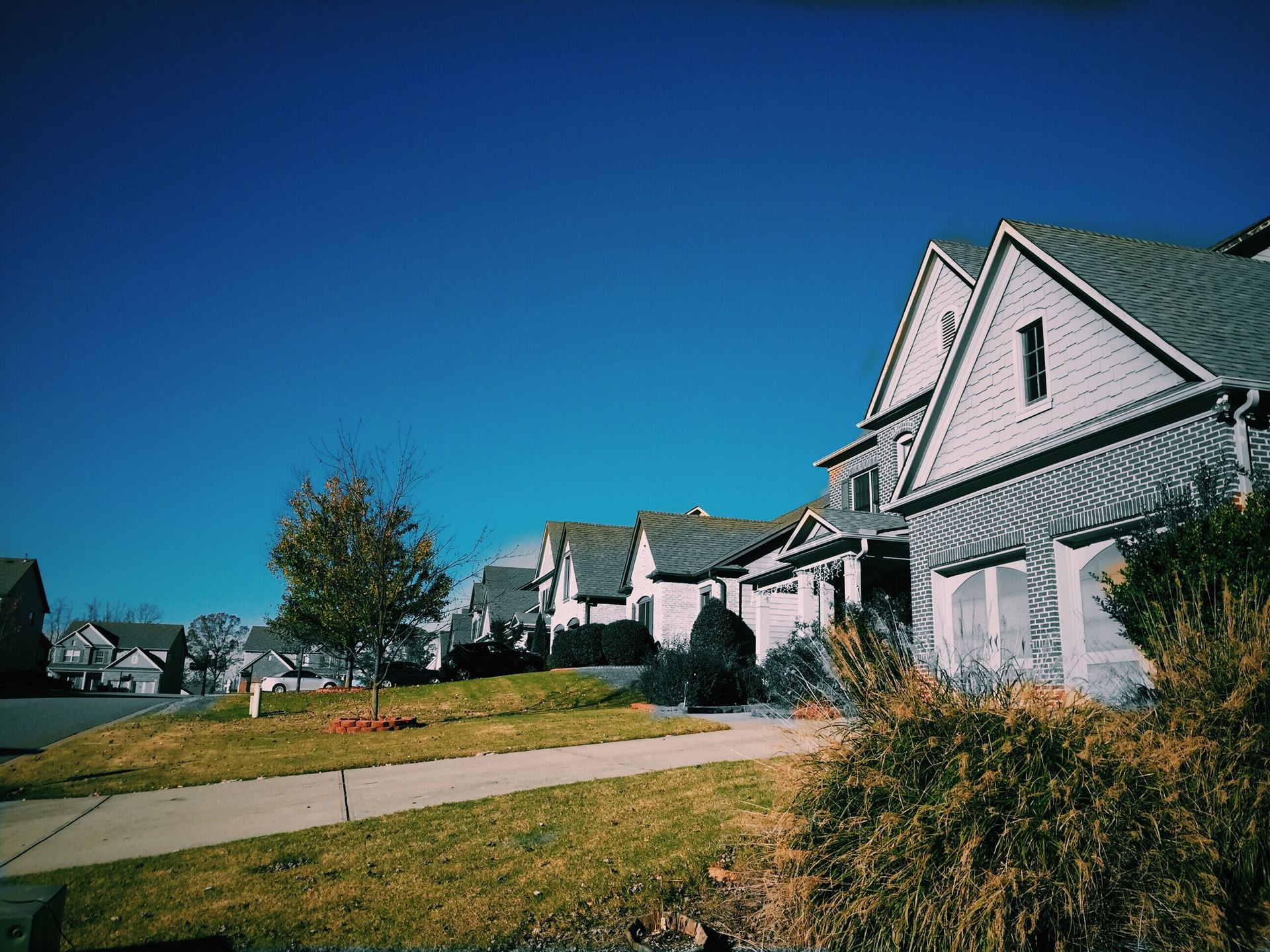 Full-service landscaping in Round Rock TX Full-service landscaping in Round Rock TX