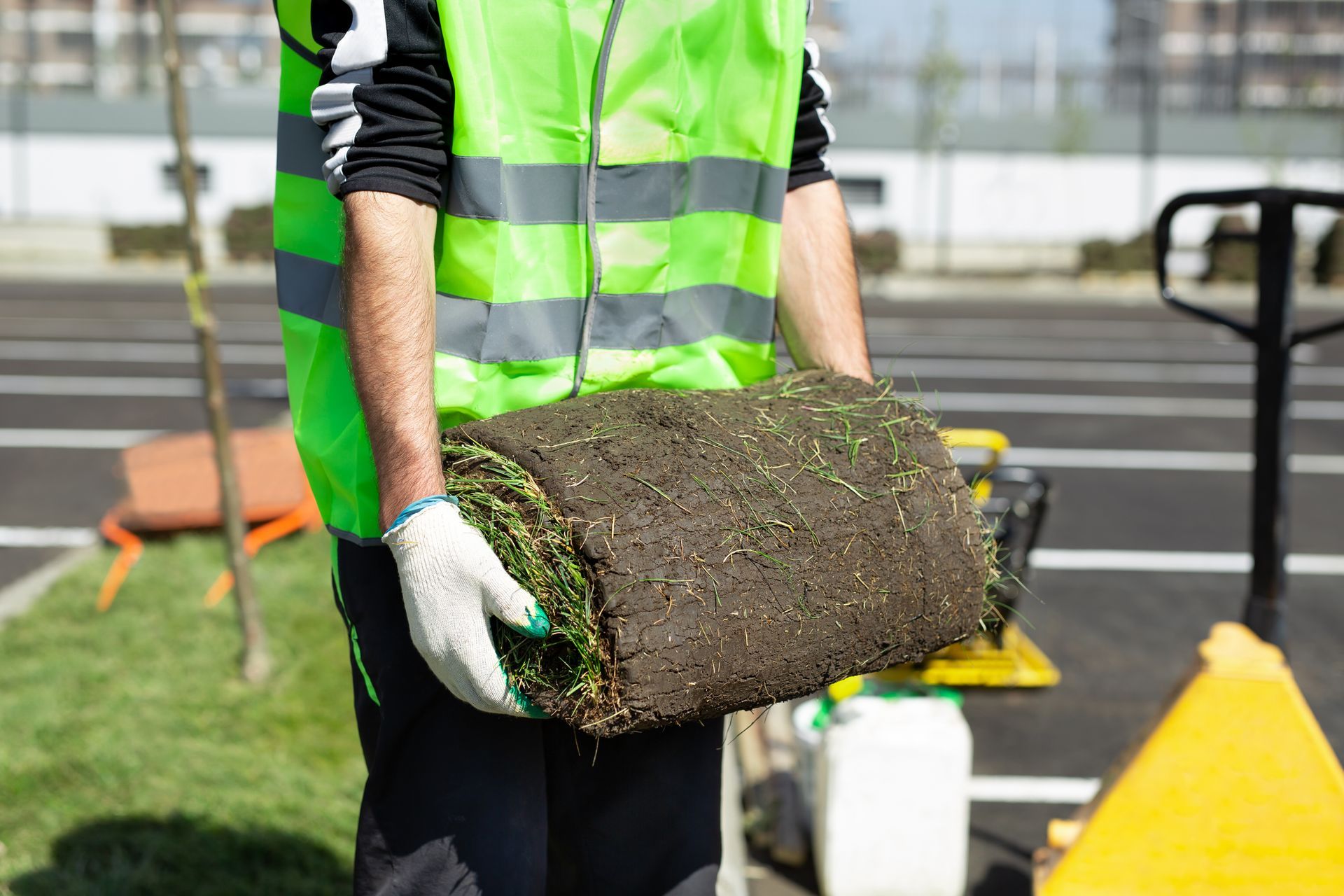 Enjoy a lush carpet of green with Oak Grove Sod in Round Rock TX