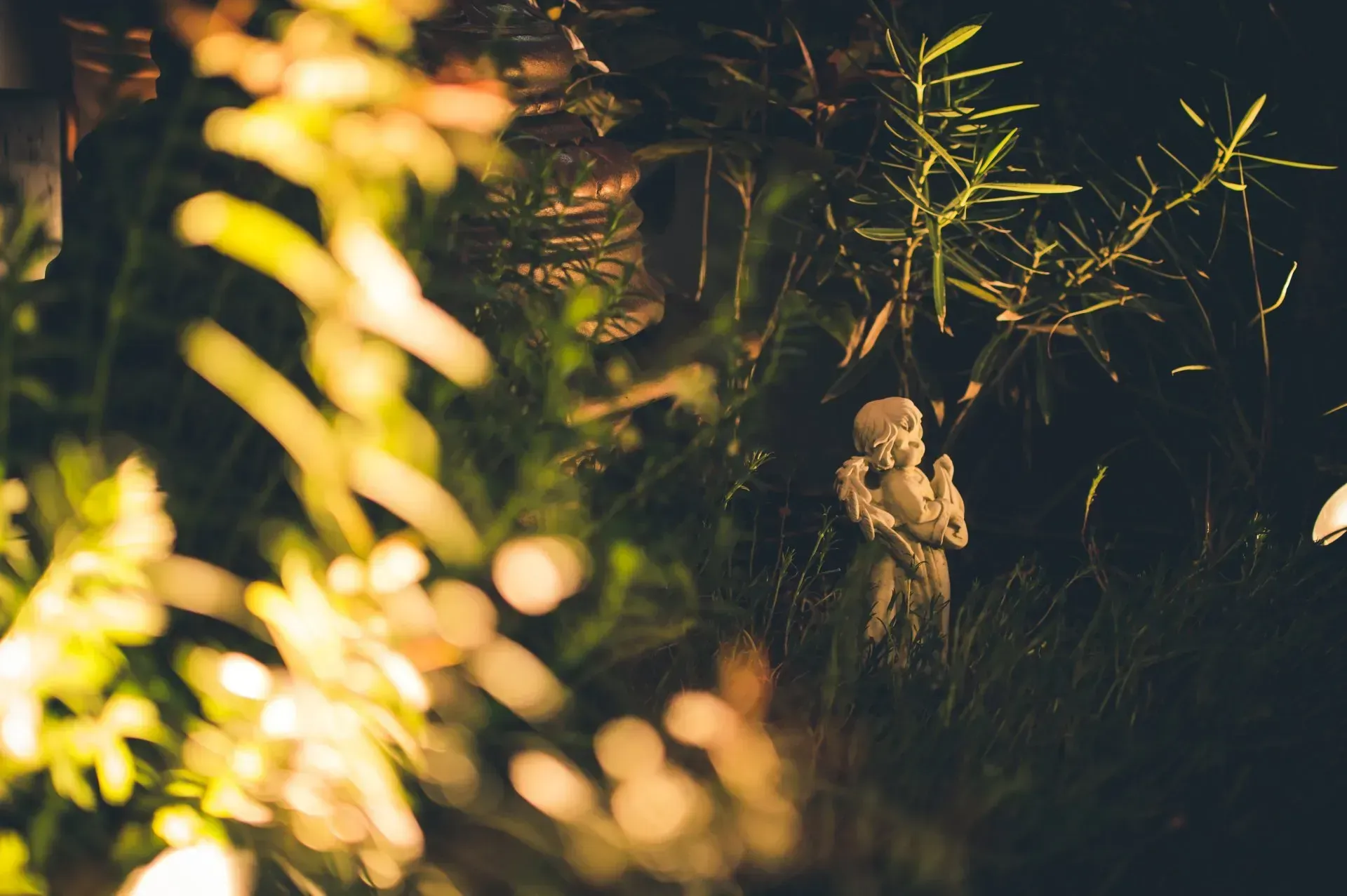 garden lighting in Round Rock