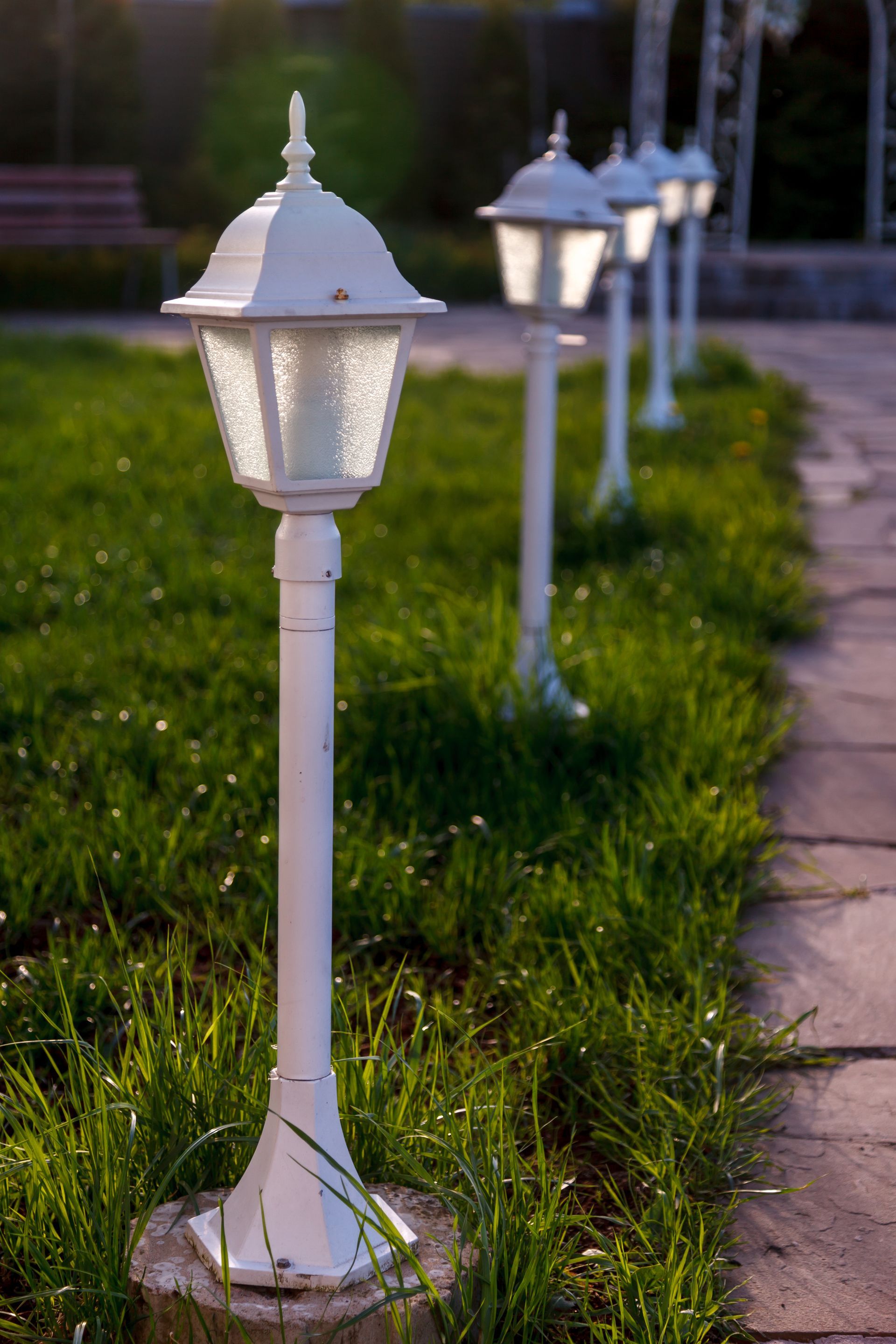 White outdoor lamps line a pathway through a grassy yard.