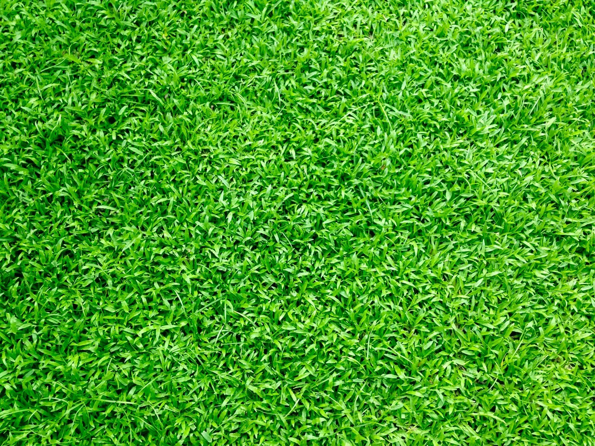 Customized irrigation solutions  in Round Rock