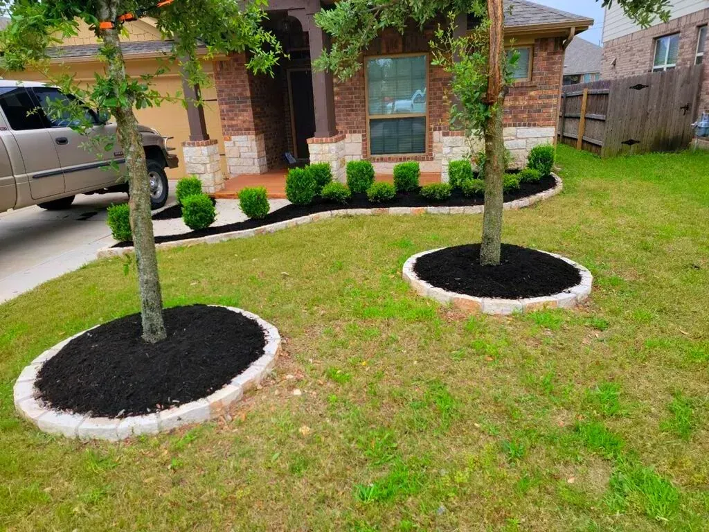 Green lawn and trees after lawncare in Round Rock TX