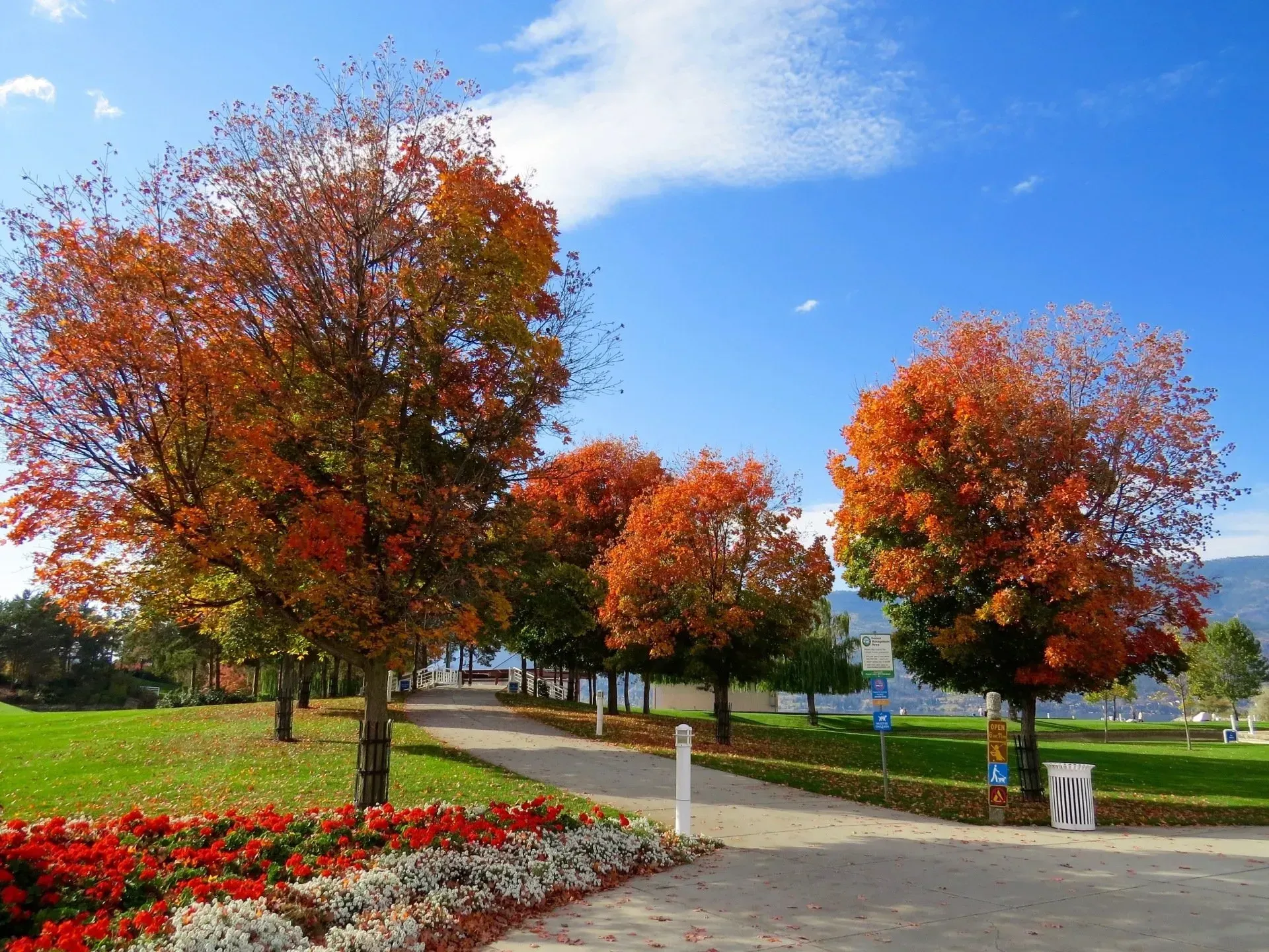 Effective water management in landscapes in Round Rock