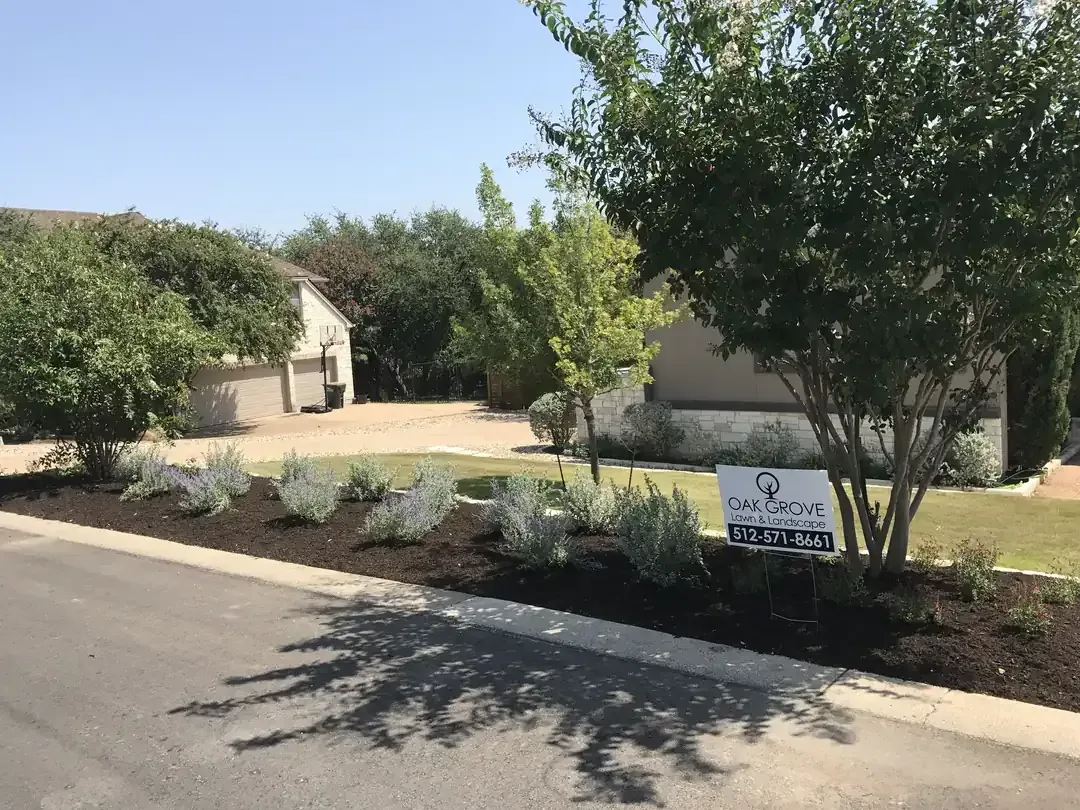 professional landscaping experts in Round Rock Texas