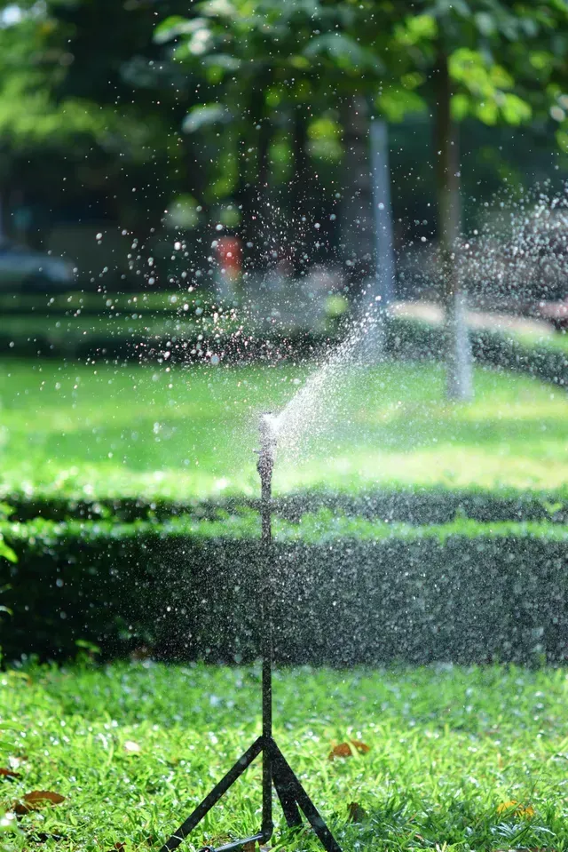 Lawn sprinkler
