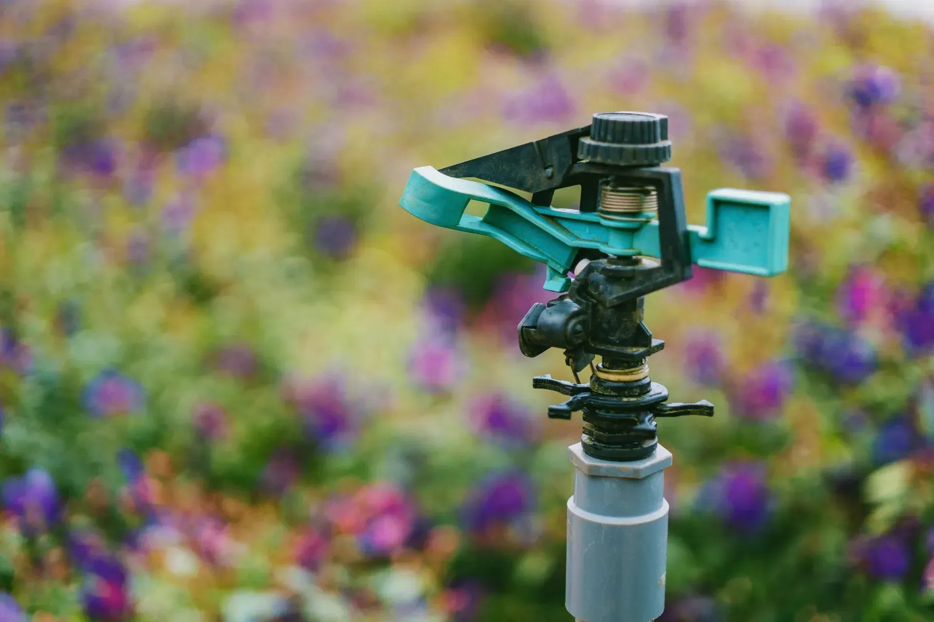 Efficient landscaping irrigation system in Round Rock