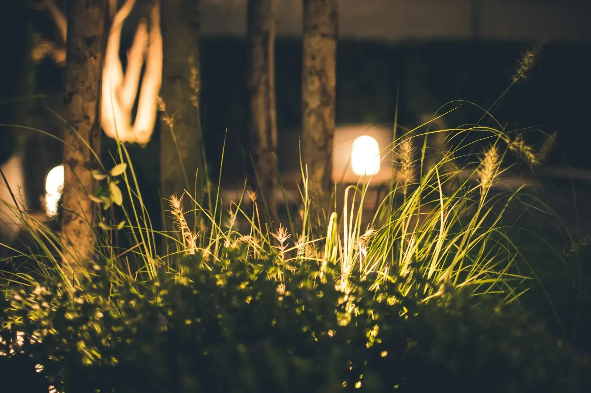 garden lights Round Rock