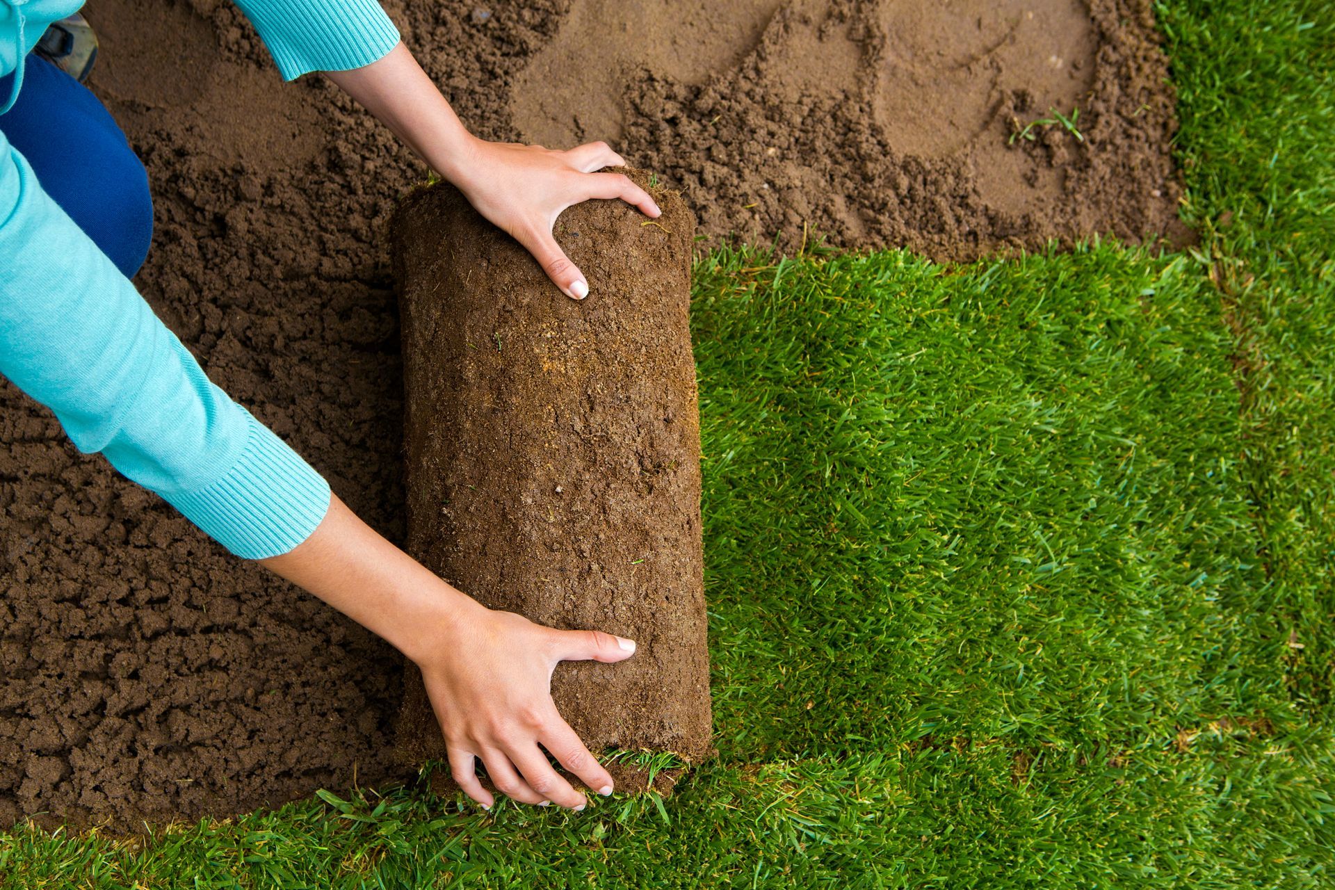 Round Rock Sod Installation