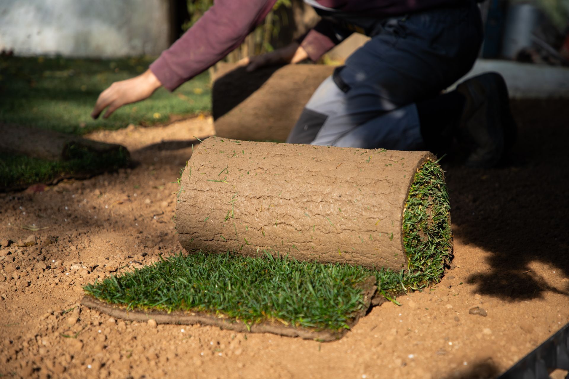 Person installing sod roll on a sandy surface. Green grass and brown earth are visible.