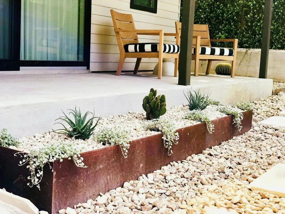 small cacti and other native texas plants in landscape in round rock tx