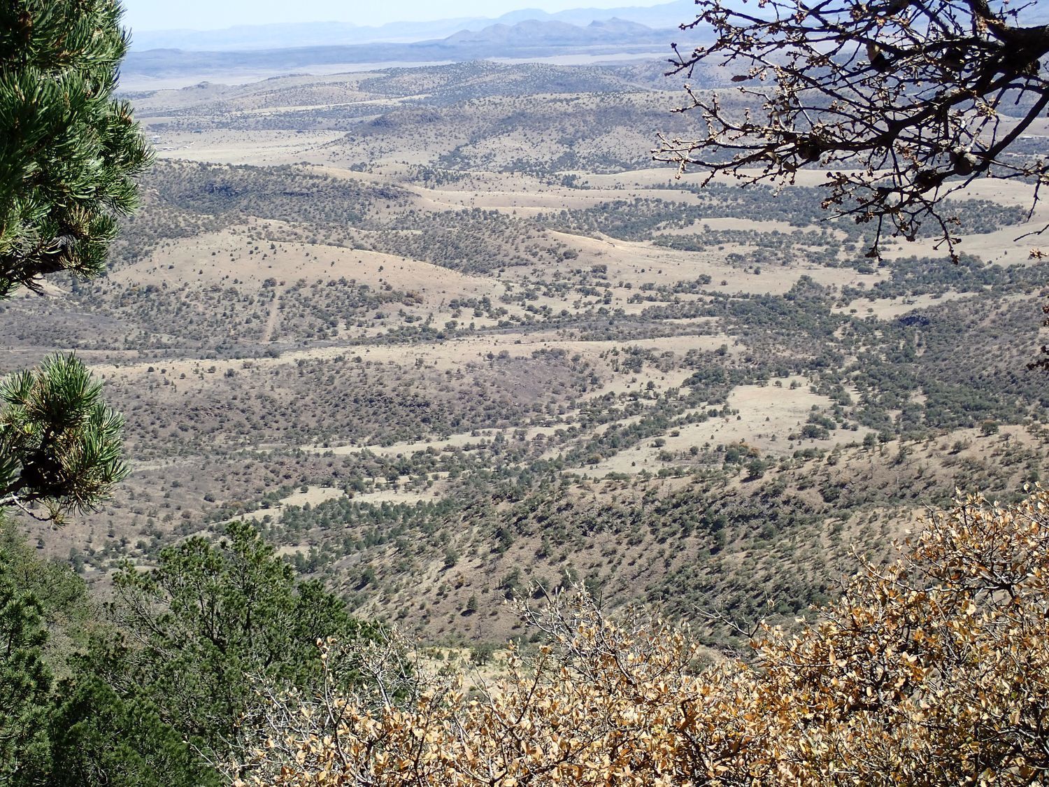 texas landscape and xeriscape texas landscape and xeriscape