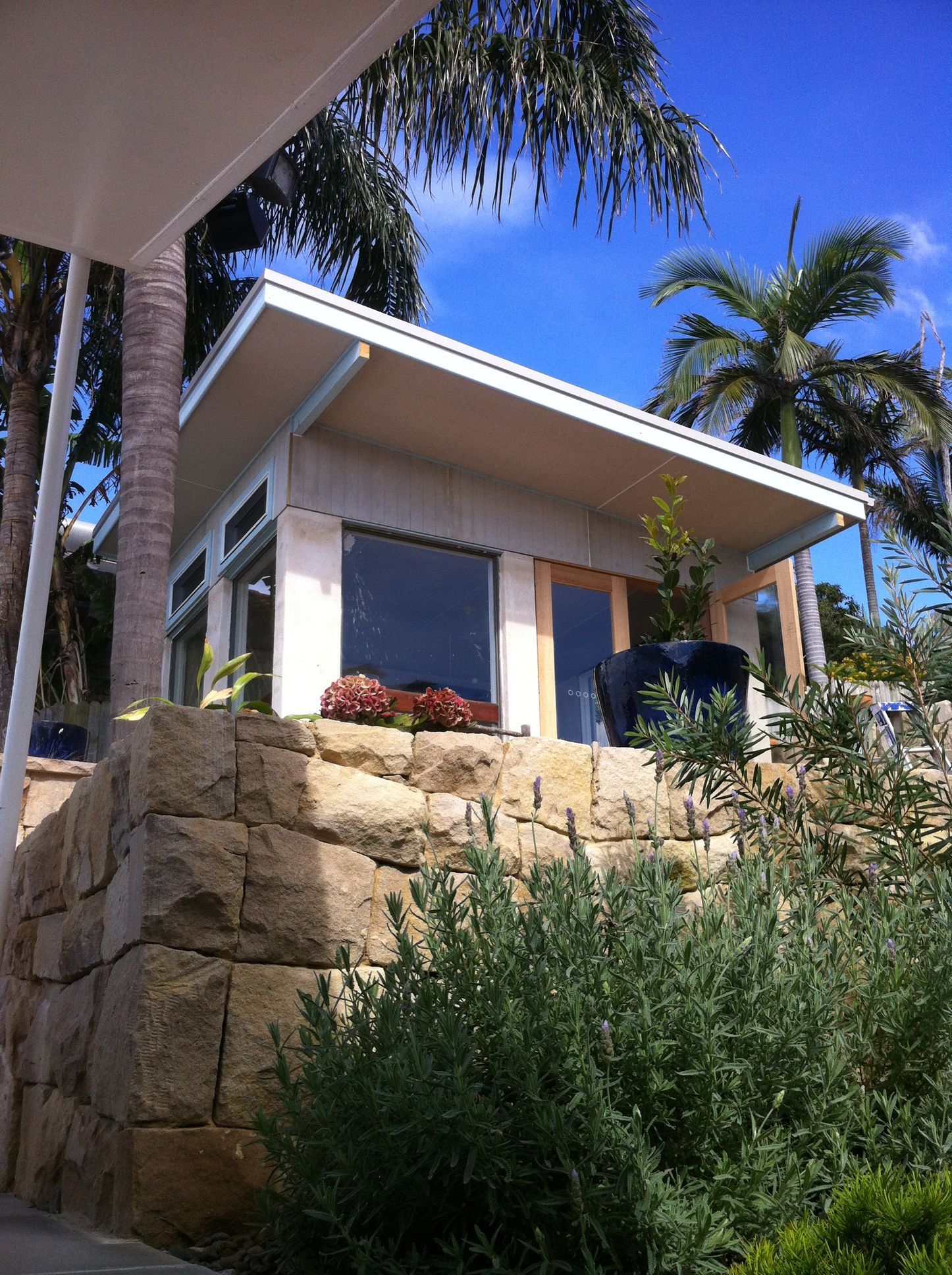 Small modern beach cabin with glass doors, stone wall, and palm trees by the water.
