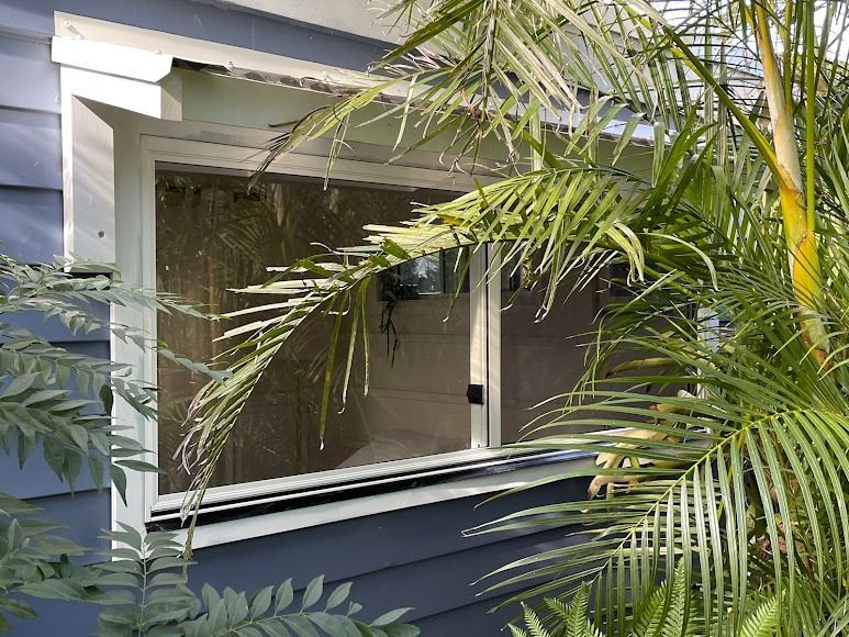 White house window partially hidden by palm leaves, with blue siding and screened panes