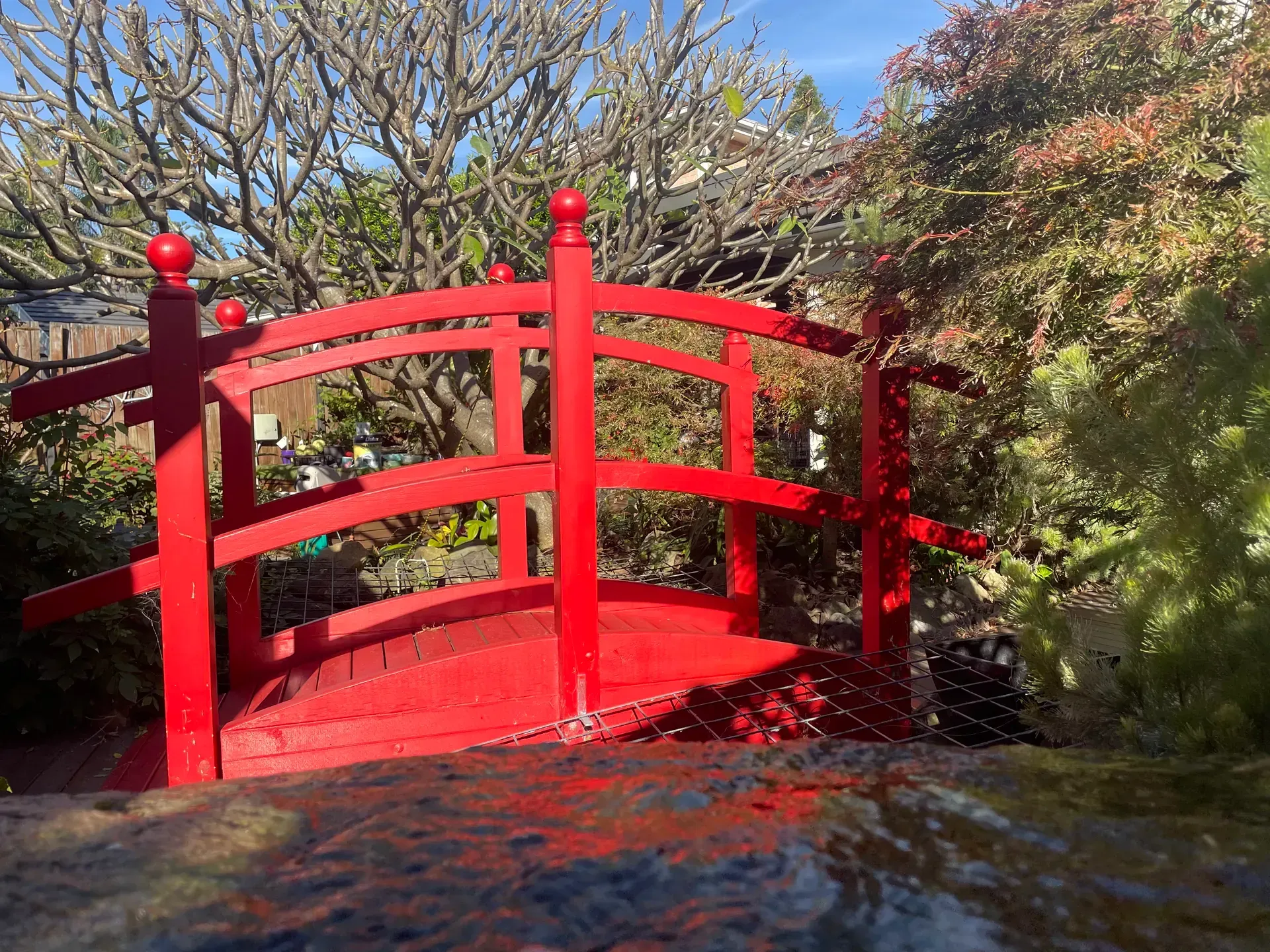Bright red arched garden bridge over a stream, surrounded by trees and shrubs.