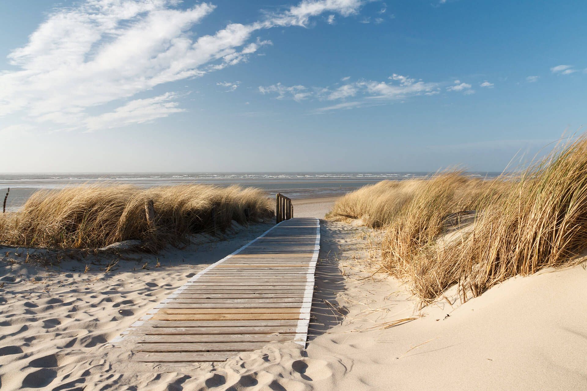 Symbolbild zur Seebestattung mit Blick Richtung Meer Holzsteg zum Meer – Seebestattung