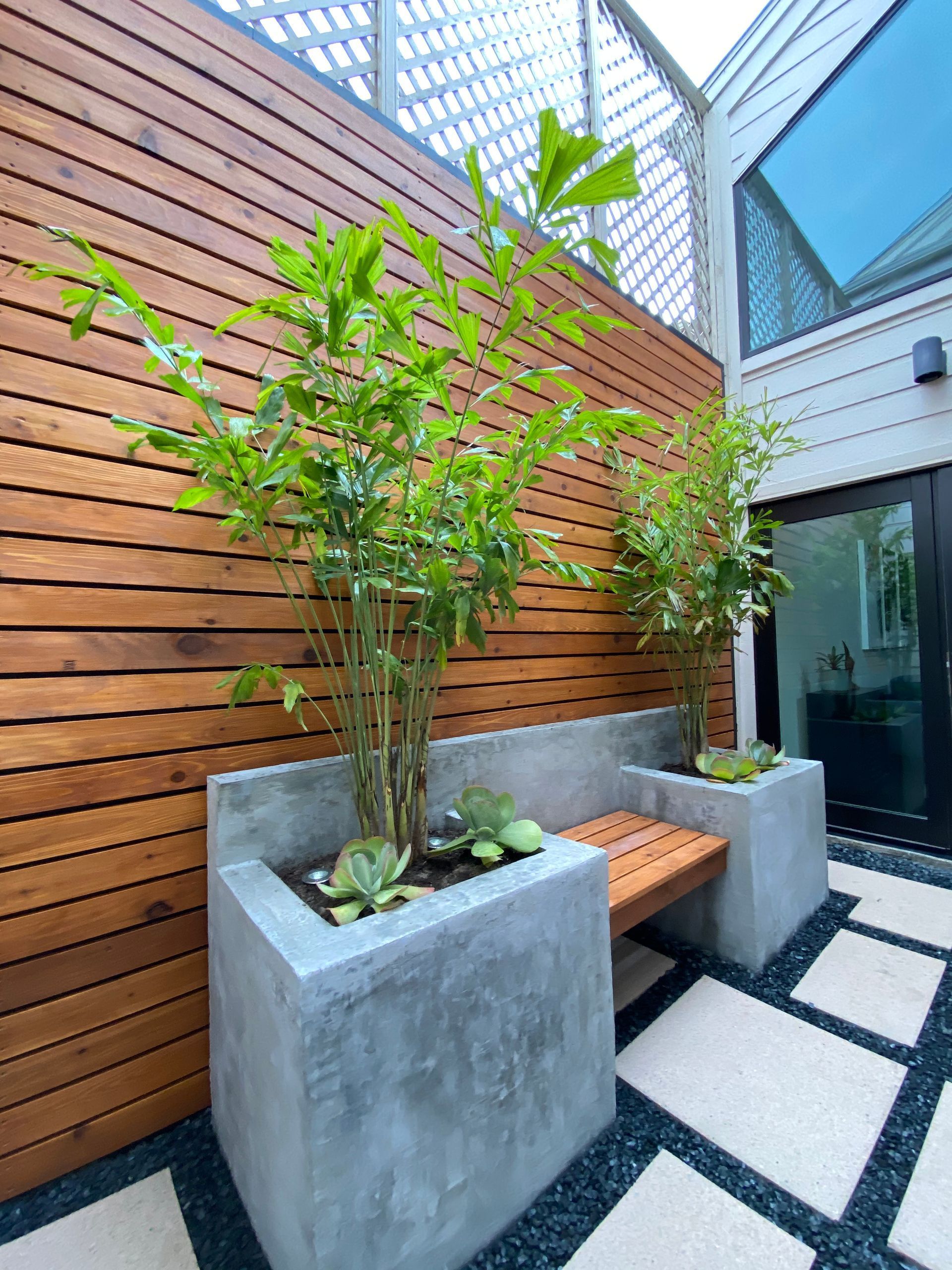 House Plants