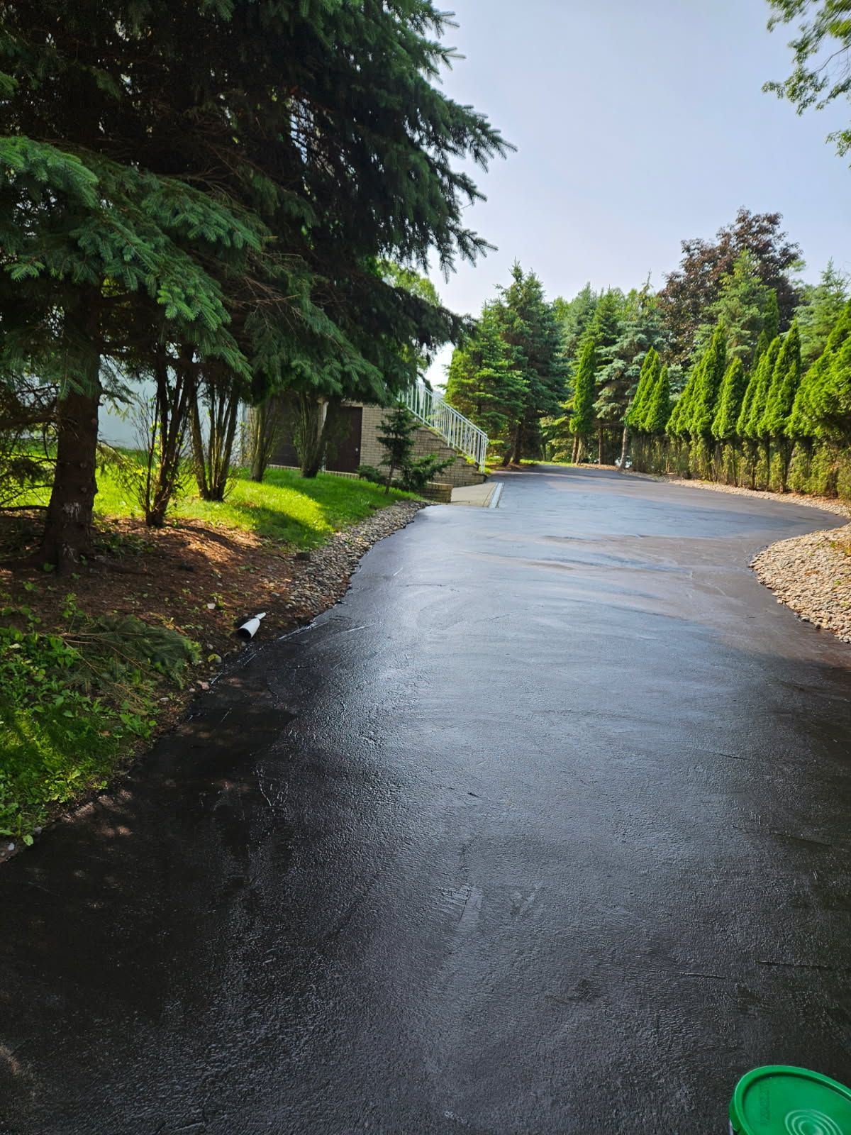 Wet winding road in a green park with tall trees and bright sunlight