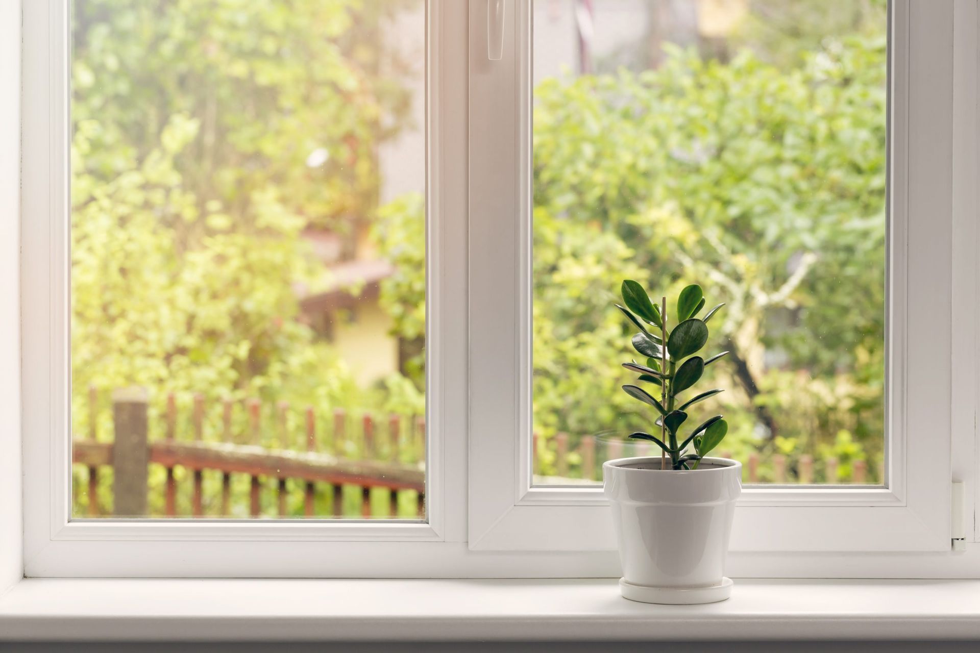 Small potted plant on a white windowsill with a bright, leafy garden outside