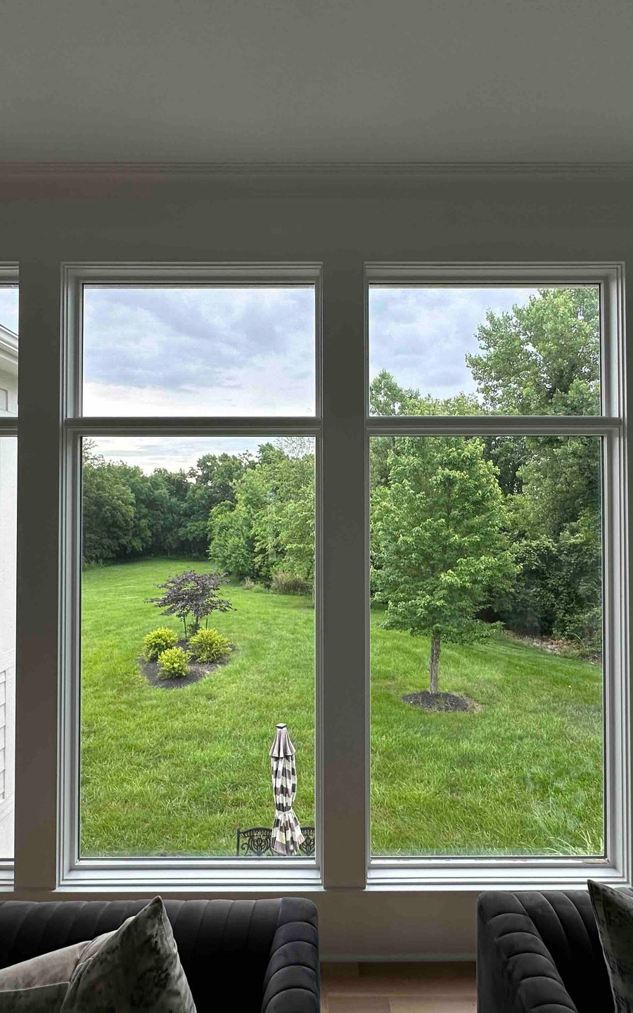 View of a green backyard from inside, through a multi-paned window. Trees and a cloudy sky are visible.