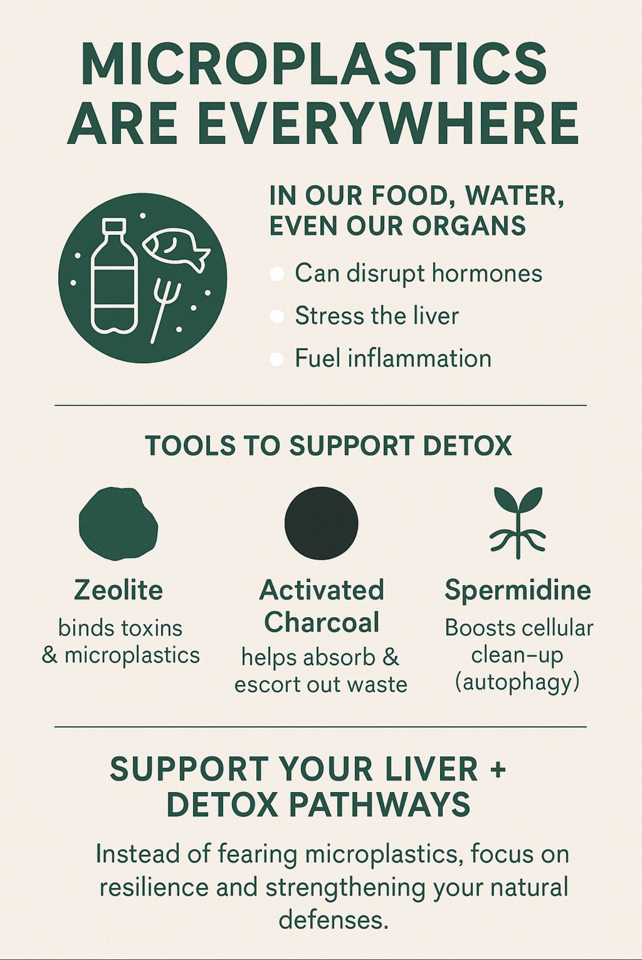 Infographic on microplastics, detailing their effects and detox solutions: zeolite, charcoal, and spermidine.