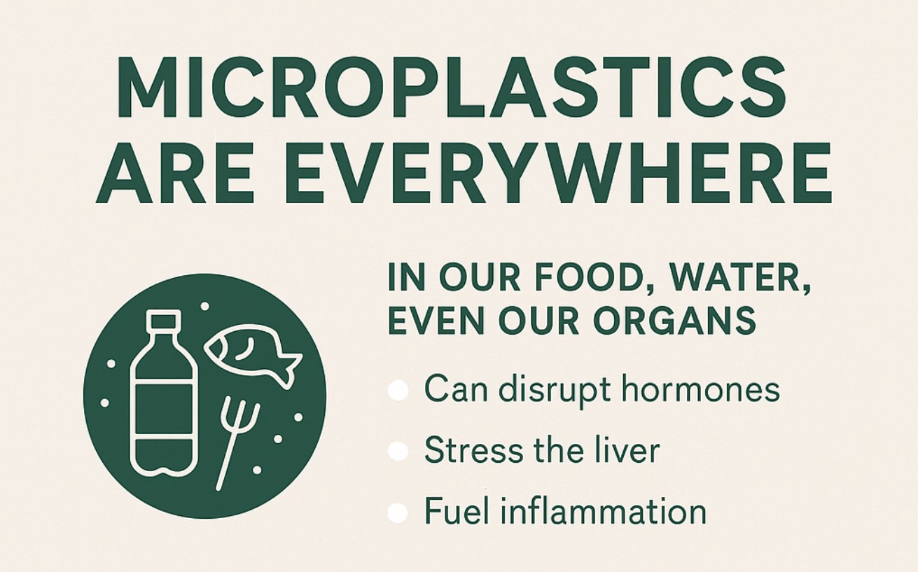 Graphic: Microplastics are everywhere, in food, water, and organs. Lists negative health effects.