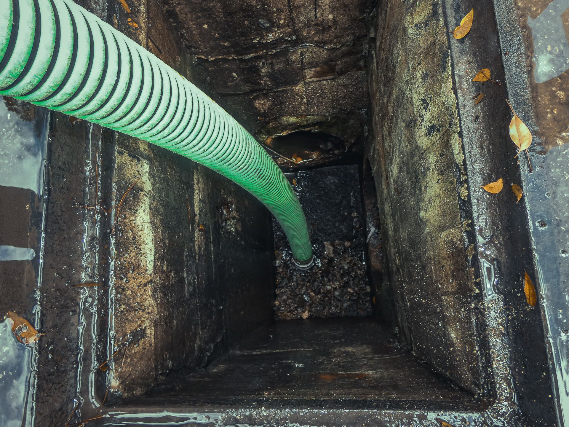 A green hose is being used to pump water into a septic tank.