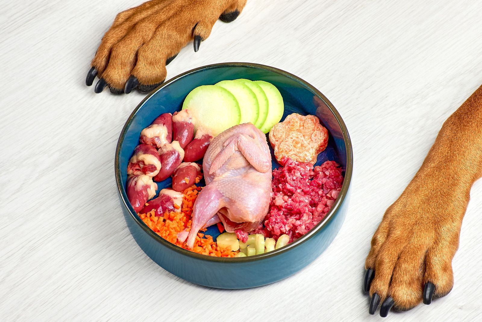 Dog paws beside a bowl of colorful raw pet food with cucumber slices on a white floor