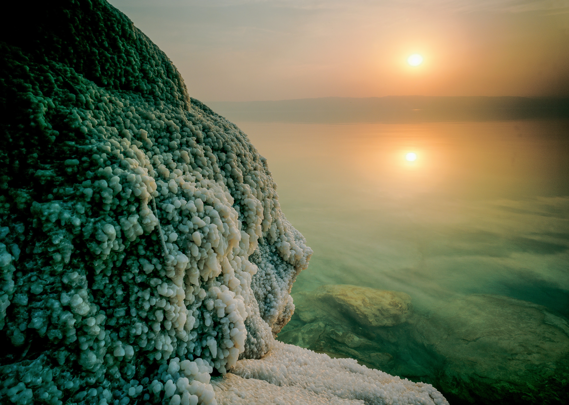 Dead Sea Salt Crustacean 