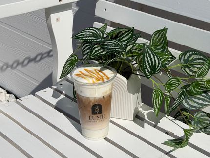 Iced coffee in a clear cup on a white slatted table beside a potted green plant in sunlight